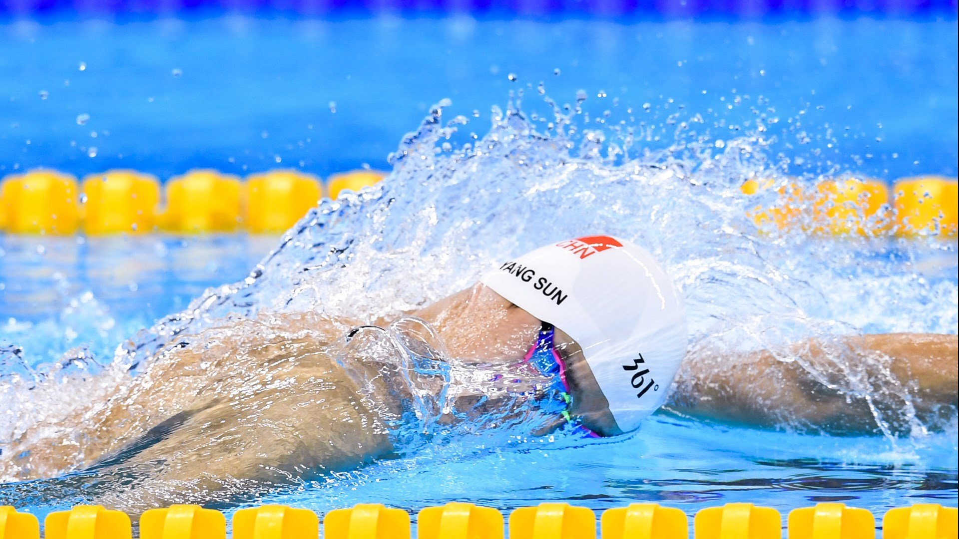 多米尼加武术运动奋勇争先，多米尼加现状