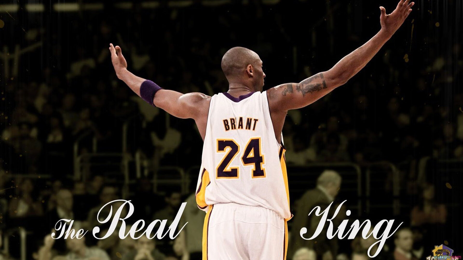 体育慈善：球星与俱乐部的社会责任，体育慈善机构